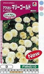 アフリカンマリーゴールド F1バニラ Fmn510 小袋 野菜 草花の種苗の通販は 太田種苗おおたねっと へ