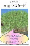 クリックすると商品の詳細がご覧いただけます