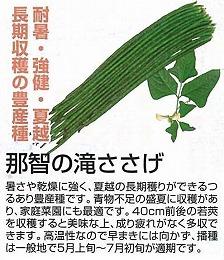 野菜 草花の種苗の通販は 太田種苗おおたねっと へ