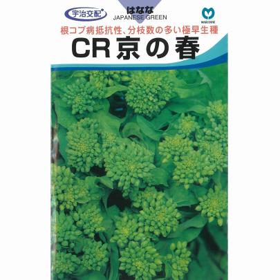 クリックすると画面いっぱいに写真を拡大します