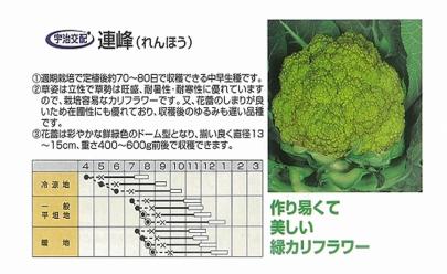 クリックすると画面いっぱいに写真を拡大します