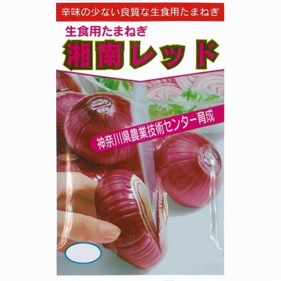 【説明欄必読】11月1日発送開始 玉ねぎ苗湘南レッド1,000本おまけ泉州10本 説明欄必読】11月1日発送開始 玉ねぎ苗湘南レッド250本おまけ泉州10本