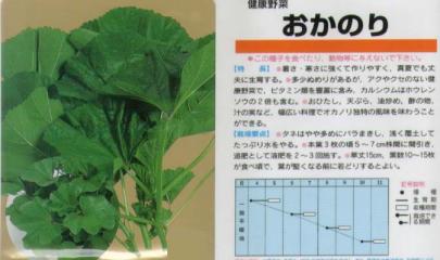 その他の菜類 おかのり 固定種 野菜 草花の種苗の通販は 太田種苗おおたねっと へ