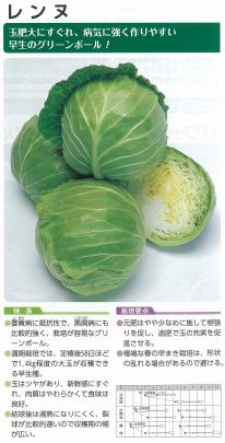 野菜 草花の種苗の通販は 太田種苗おおたねっと へ