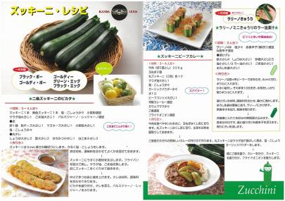 カボチャ】ズッキーニ（丸形） ブラックエッグ〔一代交配0144〕 | 野菜