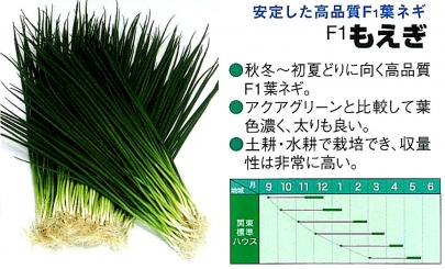 クリックすると画面いっぱいに写真を拡大します