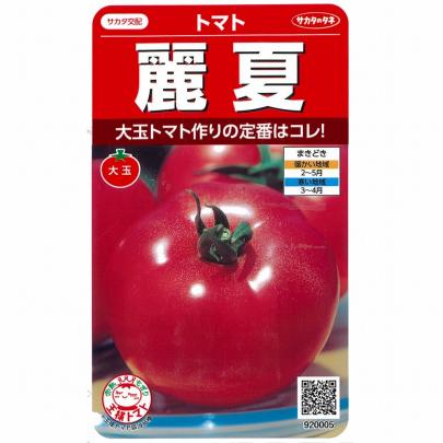 麗夏トマト　5キロ トマト】麗夏〔サカタ交配〕 | 野菜・草花の種苗の通販は【太田種苗