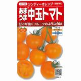 クリックすると商品の詳細がご覧いただけます