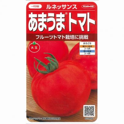トマト】ルネッサンス〔一代交配サカタ〕《登録品種》品種名あいさか2