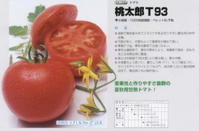 トマト】桃太郎T93〔タキイ交配〕 | 野菜・草花の種苗の通販は【太田 