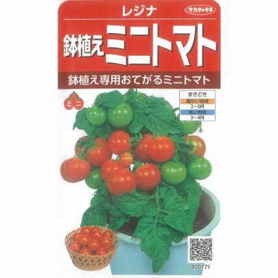 ミニトマト】鉢物用レジナ〔サカタ〕/小袋（0.6ml） | 野菜・草花の