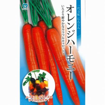 ニンジン】オレンジハーモニー〔一代交配 丸種0050〕 | 野菜・草花の
