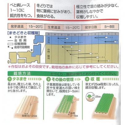 クリックすると画面いっぱいに写真を拡大します