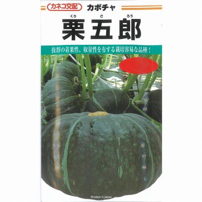 カボチャ】栗五郎〔カネコ交配〕 野菜・草花の種苗の通販は【太田種苗おおたねっと】へ