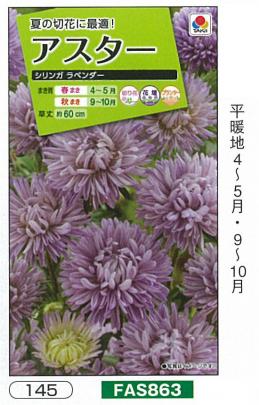 アスター シリンガラベンダー Fas863 小袋 野菜 草花の種苗の通販は 太田種苗おおたねっと へ