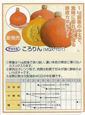 カボチャ ころりん 宇治交配 野菜 草花の種苗の通販は 太田種苗おおたねっと へ