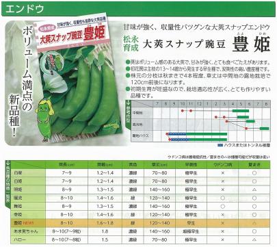 野菜 草花の種苗の通販は 太田種苗おおたねっと へ