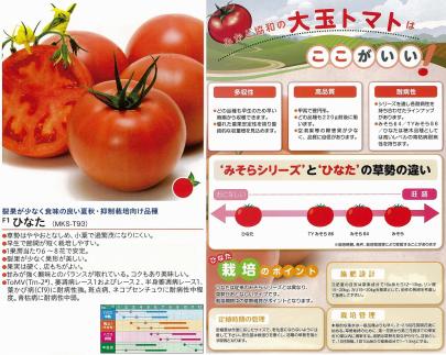 トマト】ひなた〔みかど協和交配〕 | 野菜・草花の種苗の通販は【太田 トマト】ひなた〔みかど協和交配〕 | 野菜・草花の種苗の通販は【太田
