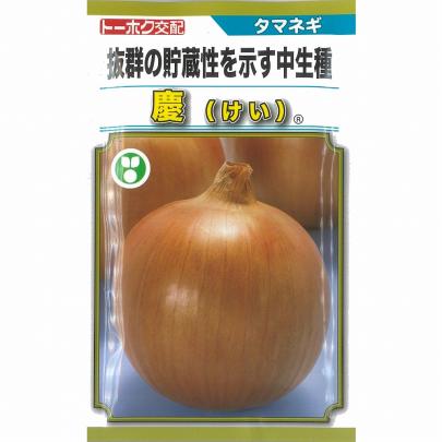 タマネギ】慶（THN147）〔トーホク交配〕 | 野菜・草花の種苗の通販は