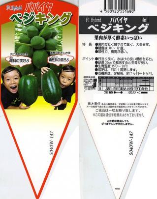 パパイヤ】苗 野菜用 ベジキング/自根(実生)／1本 | 野菜・草花の種苗