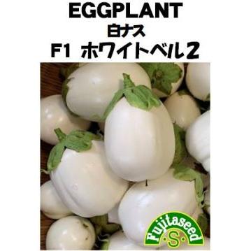 世界の果菜】ナス 白ナス F1ホワイトベル2/小袋（10粒） | 野菜・草花