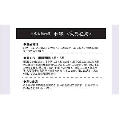オーガニックの花と緑肥 自然栽培の種 和綿 わめん 大島在来 A349 小袋 野菜 草花の種苗の通販は 太田種苗おおたねっと へ