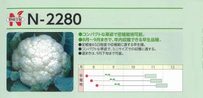 カリフラワー】豊月 N-2280〔野崎交配〕 | 野菜・草花の種苗の通販は