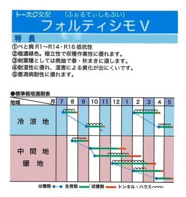 ホウレンソウ】フォルティシモV〔トーホク交配〕 | 野菜・草花の種苗の