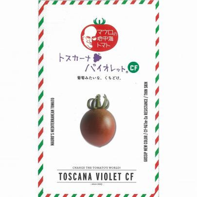ミニトマト】トスカーナバイオレットCF（マウロの地中海トマト）〔サナ
