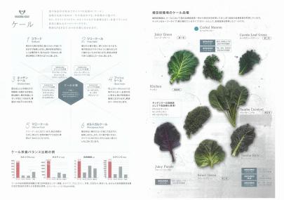 クリックすると画面いっぱいに写真を拡大します