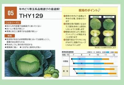 キャベツ】F1 稜山7 (THY129)〔トーホク交配〕 | 野菜・草花の