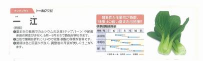 クリックすると画面いっぱいに写真を拡大します