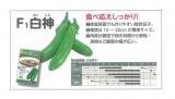 クリックすると商品の詳細がご覧いただけます