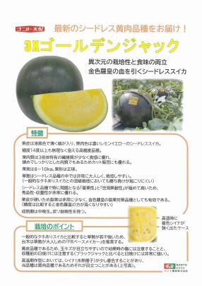 スイカ】種なし（シードレス） 黄 3Xゴールデンジャック〔ナント交配
