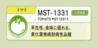 クリックすると画面いっぱいに写真を拡大します