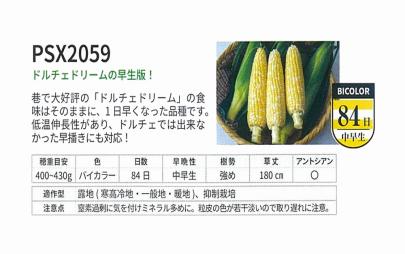 トウモロコシ】スイートコーン PSX 2059〔0330〕/2000粒 | 野菜・草花