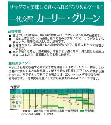 クリックすると画面いっぱいに写真を拡大します
