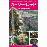 クリックすると商品の詳細がご覧いただけます