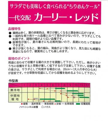 クリックすると画面いっぱいに写真を拡大します