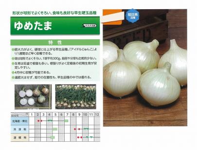 yuyuta様　8個まとめ売り サラダ鬼っ子（大袋）275g : おせん・おかき・お茶 小藤屋