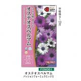 クリックすると商品の詳細がご覧いただけます