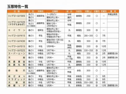 タマネギ】トップゴールド430〔タカヤマ交配〕 | 野菜・草花の種苗の
