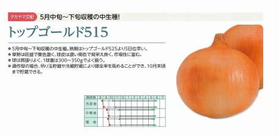 たまねぎ トップゴールド320 2dl （株）タカヤマシード 野菜 種 苗