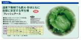 クリックすると商品の詳細がご覧いただけます