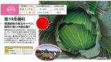 クリックすると商品の詳細がご覧いただけます