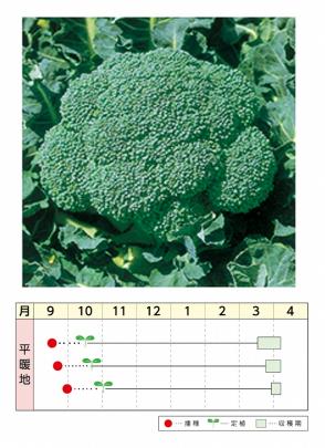 クリックすると画面いっぱいに写真を拡大します