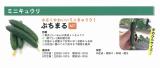 クリックすると商品の詳細がご覧いただけます