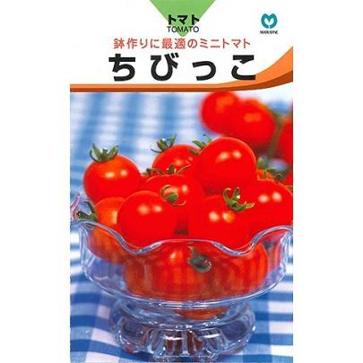 ミニトマト】矮性ミニトマト ちびっこ〔0050〕 | 野菜・草花の種苗の
