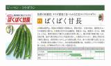 クリックすると商品の詳細がご覧いただけます