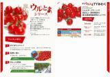 クリックすると商品の詳細がご覧いただけます
